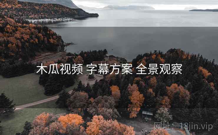 木瓜视频 字幕方案 全景观察  第2张