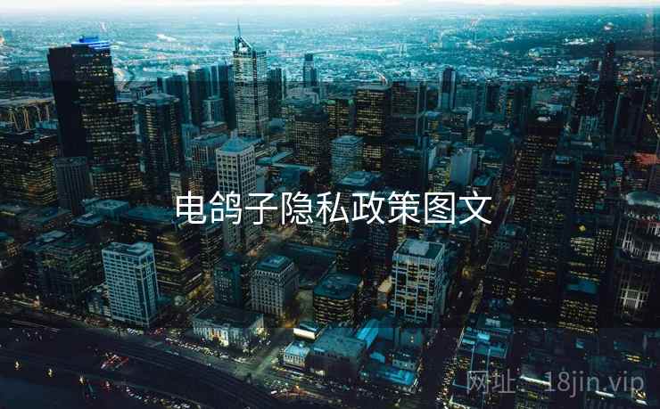 电鸽子隐私政策图文  第2张