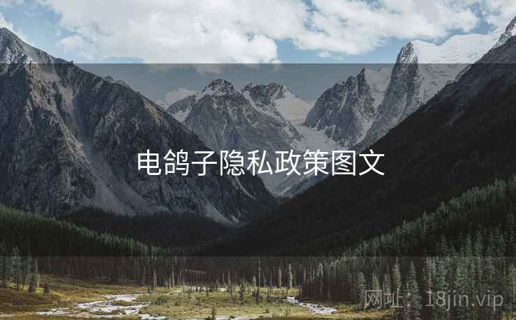 电鸽子隐私政策图文  第1张