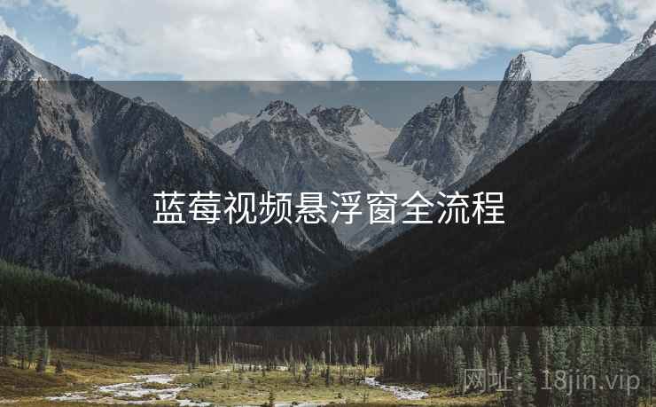蓝莓视频悬浮窗全流程  第1张