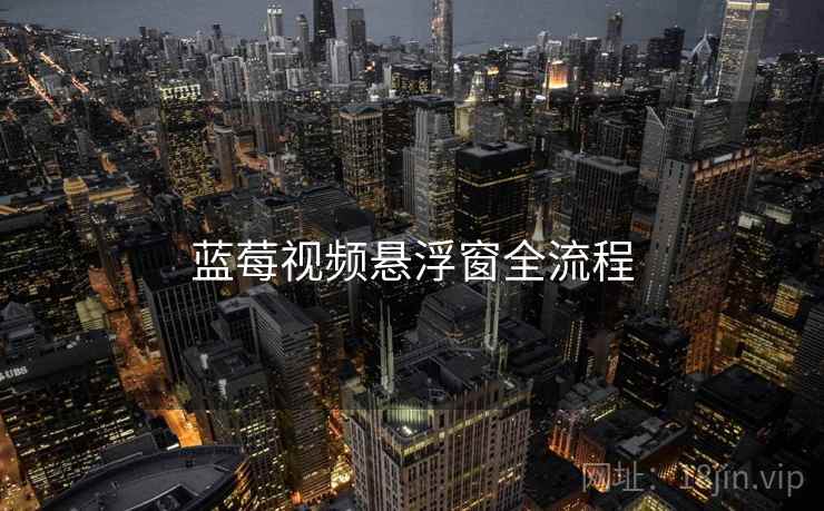 蓝莓视频悬浮窗全流程  第2张