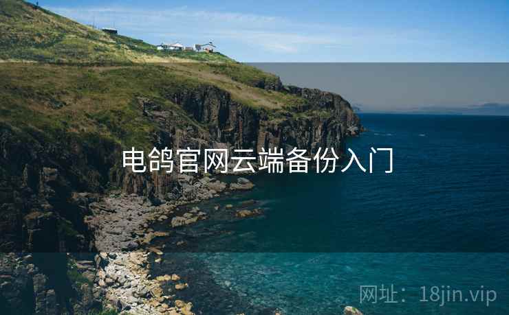 电鸽官网云端备份入门  第1张