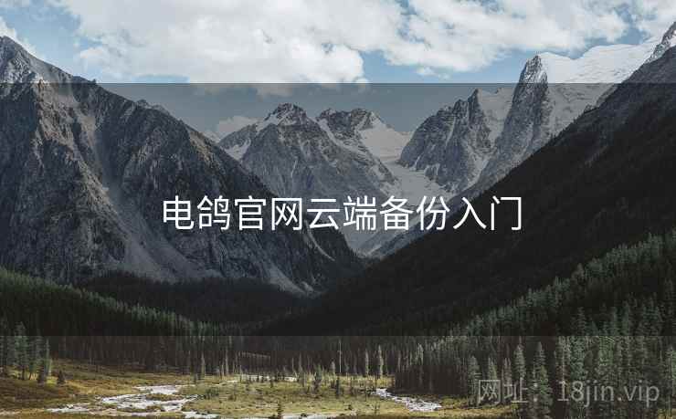 电鸽官网云端备份入门  第2张