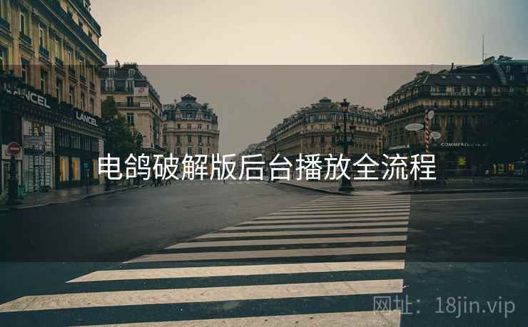 电鸽破解版后台播放全流程  第1张