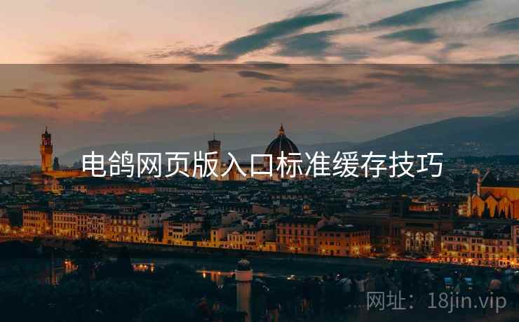 电鸽网页版入口标准缓存技巧  第1张