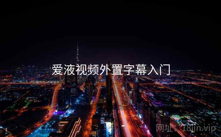 爱液视频外置字幕入门  第1张