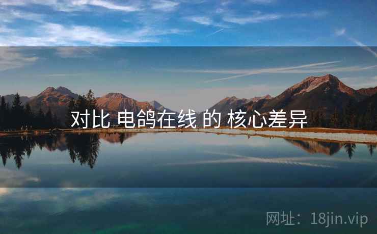 对比 电鸽在线 的 核心差异  第1张