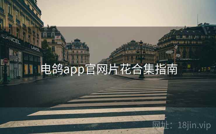 电鸽app官网片花合集指南  第1张