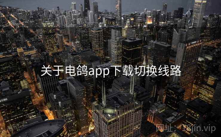 关于电鸽app下载切换线路  第1张