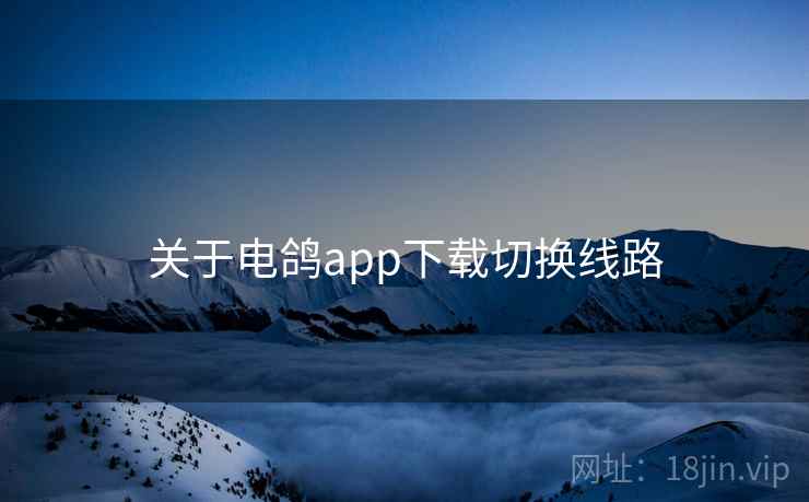 关于电鸽app下载切换线路  第2张