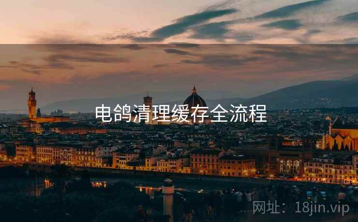 电鸽清理缓存全流程  第2张