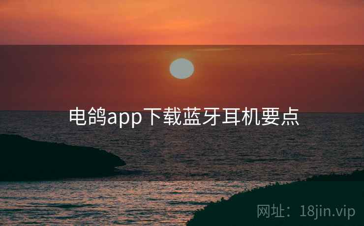 电鸽app下载蓝牙耳机要点  第1张