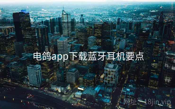 电鸽app下载蓝牙耳机要点  第2张