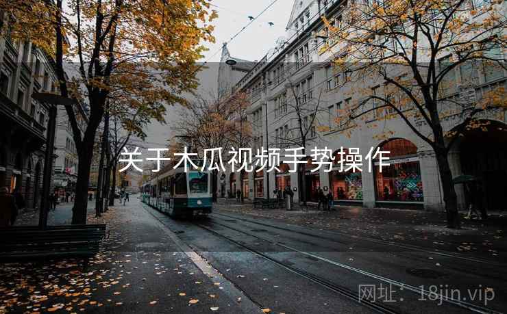 关于木瓜视频手势操作  第2张