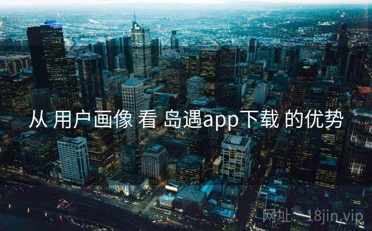 从 用户画像 看 岛遇app下载 的优势  第2张
