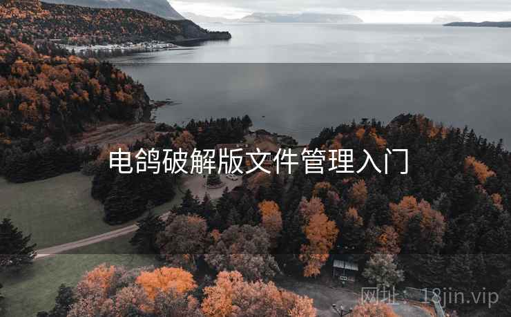电鸽破解版文件管理入门  第1张