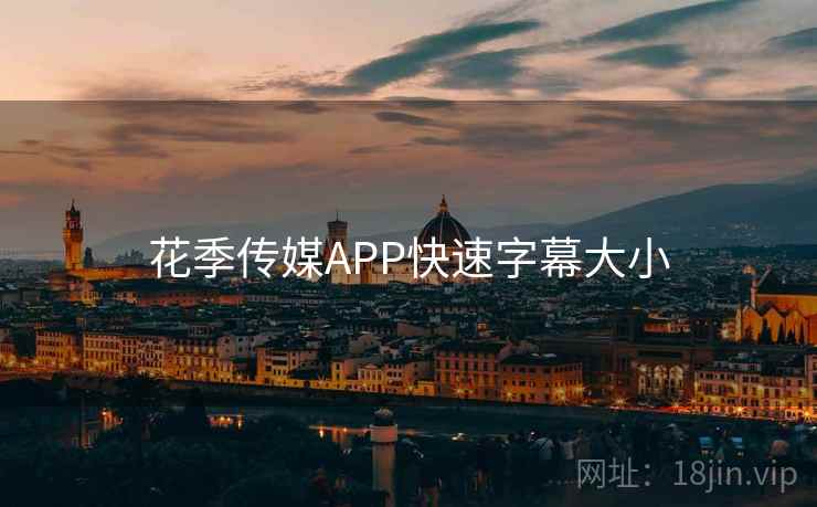 花季传媒APP快速字幕大小  第1张