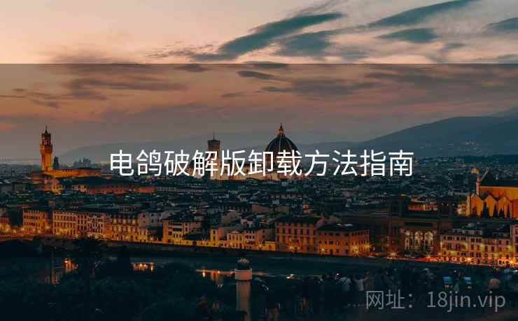 电鸽破解版卸载方法指南  第2张