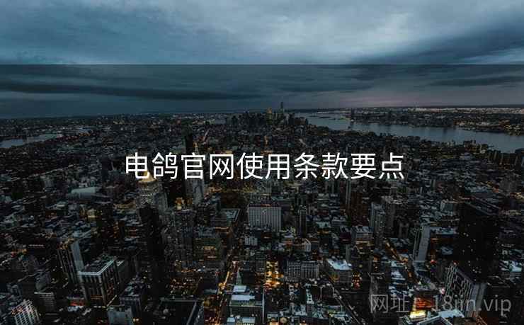 电鸽官网使用条款要点  第2张
