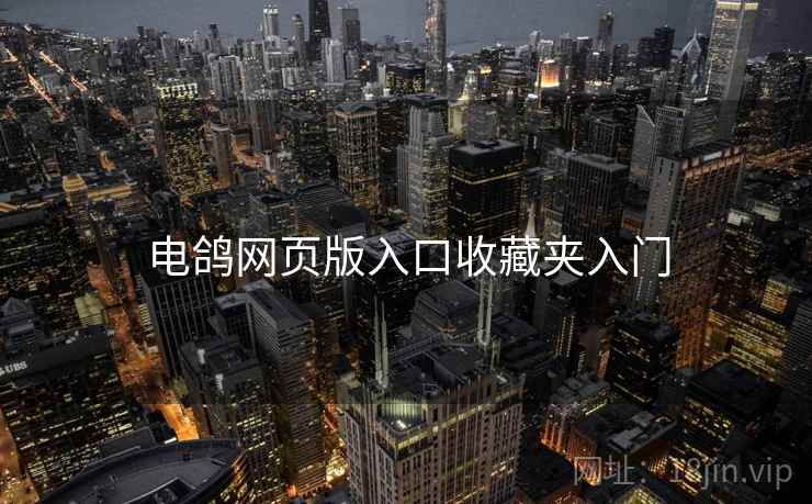 电鸽网页版入口收藏夹入门  第2张