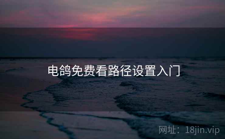 电鸽免费看路径设置入门  第1张