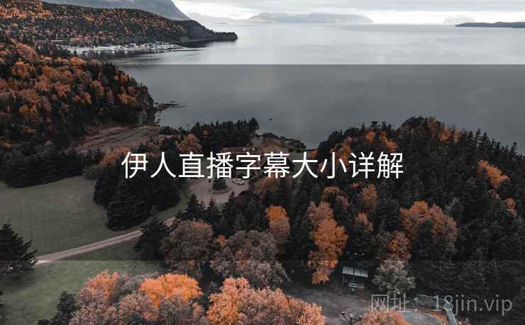 伊人直播字幕大小详解  第1张