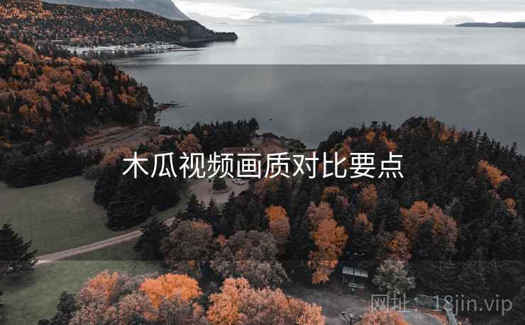 木瓜视频画质对比要点  第2张