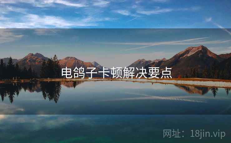 电鸽子卡顿解决要点  第1张