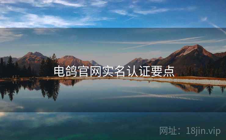 电鸽官网实名认证要点  第2张