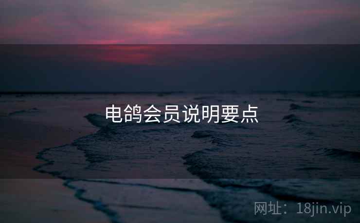电鸽会员说明要点  第1张