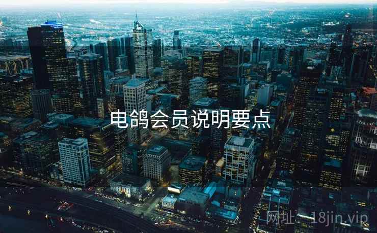 电鸽会员说明要点  第2张
