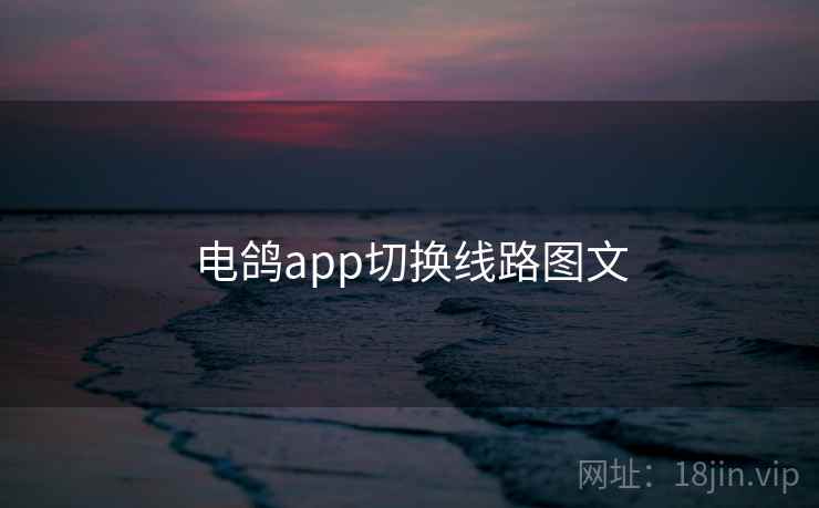 电鸽app切换线路图文  第1张