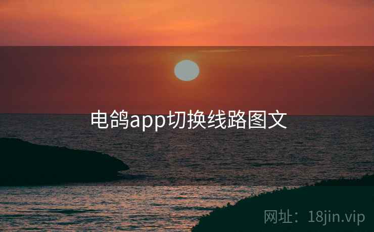 电鸽app切换线路图文  第2张