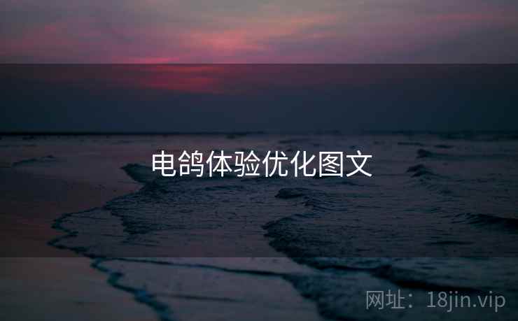 电鸽体验优化图文  第1张