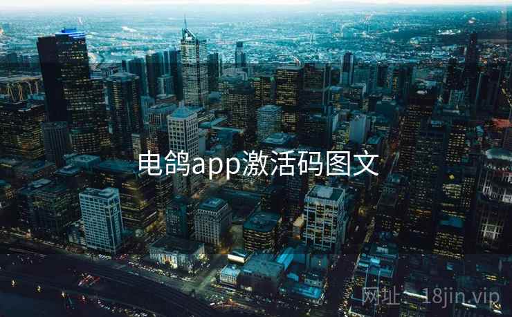 电鸽app激活码图文  第1张