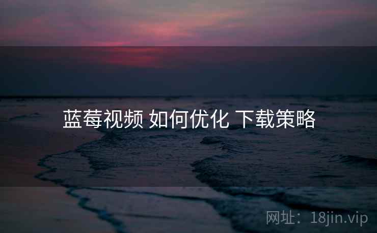 蓝莓视频 如何优化 下载策略  第2张