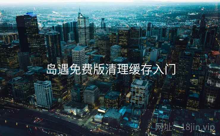 岛遇免费版清理缓存入门  第2张