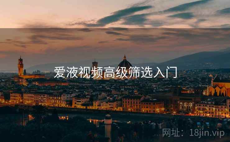 爱液视频高级筛选入门  第2张