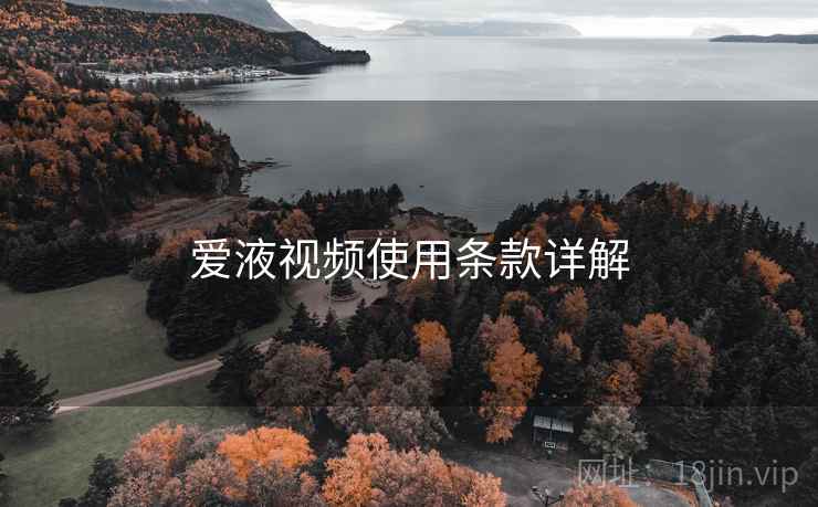 爱液视频使用条款详解  第1张
