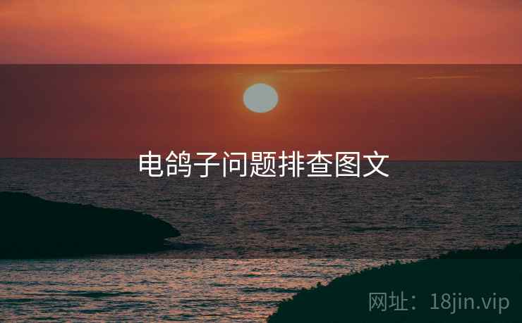 电鸽子问题排查图文  第1张