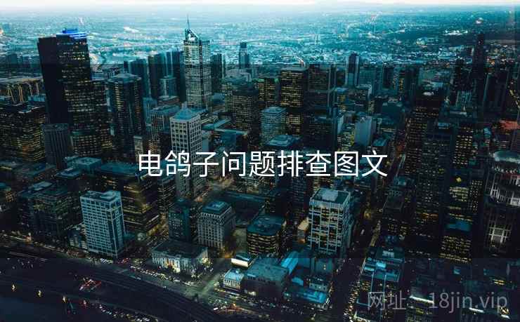 电鸽子问题排查图文  第2张