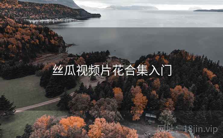 丝瓜视频片花合集入门  第1张