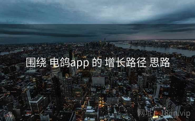 围绕 电鸽app 的 增长路径 思路  第1张
